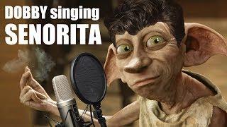 Dobby singing Señorita