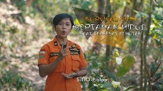 JUNGLE SURVIVAL BASARNAS | TIPS BERTAHAN HIDUP SAAT TERSESAT DI HUTAN GUNUNG