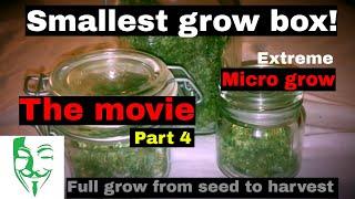 Micro Grow: From seed to harvest (PC grow box) White Widow CBD movie FULL GROW GUIDE