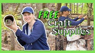  How to Forage for Nature Inspired Crafts, Free Craft Supplies