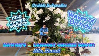 Hawaii’s ️ Largest Orchid Show!