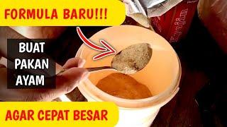 FORMULA BARU!!! MEMBUAT PAKAN AYAM AGAR CEPAT BESAR