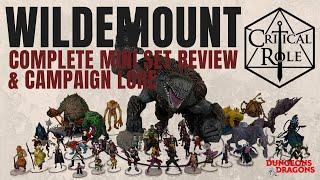 Wildemount Complete Mini Set Review & Campaign Lore Critical Role