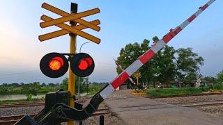 Railroad Crossing | Random Palang & Variasi Sirine Perlintasan Kereta Api