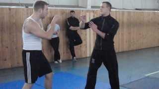 Wing Chun vs Muay Thai