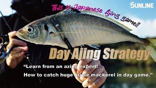 【Japanese Ajing game】Learn from an azing expert! How to catch huge horse mackerel in day game.
