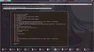 Kali linux 2019 how to install visual studio code kali linux