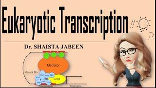 Eukaryotic Transcription I Complete Process of Transcription in Eukaryotes I Molecular Biology