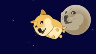 DOGE SONG