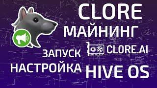 Майнинг монеты CLORE, настройка и запуск. HiveOS