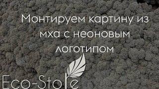 ECO-STORE Картина из cтабилизированного мха + неоновая подсветка + логотип