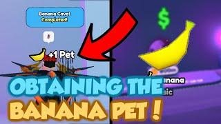 *GETTING THE BANANA PET* in Pet Simulator X! *HOW TO GET THE BANANA PET!*