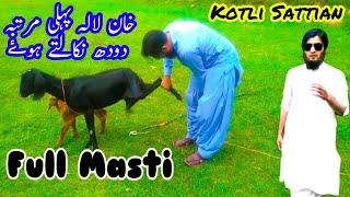 Milking a goat for the first time | Kotli Sattian 2021 | New Tourist Destination | Village life