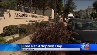 68 animals adopted at Pasadena Humane Society's free adoption day