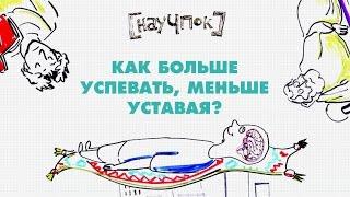 Как больше успевать, меньше уставая? — Научпок