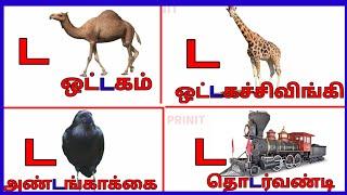 Da  Varisai sorkal – Basic Tamil letters Set/ட எழுத்து சொற்கள்/ட வரும் சொற்கள்/prinit