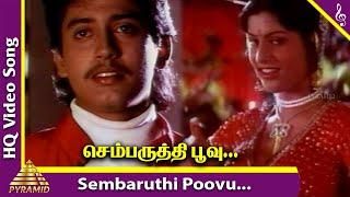 Sembaruthi Poovu Video Song | Chembaruthi Movie Songs | Prashanth | Roja | Ilayaraja |Pyramid Music