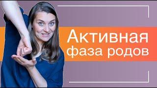 №34 Этапы родов I Вторая или Активная фаза первого периода родов