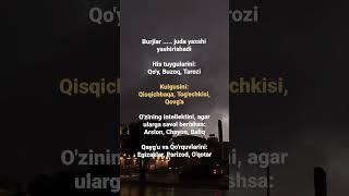 Burjlar ..... juda yaxshi yashirishadi #shortvideo #automobile #psykotiq #love #psixolog #weather