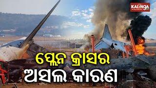 ଆଜିର ଖବର || Ajira Khabar || 7 PM News Bulletin || 29 December 2024 || Kalinga TV