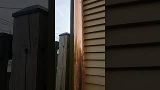 Copper downspouts?