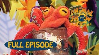 Animal Show | Owl  / Octopus  | Jim Henson Family Hub | Kids Cartoon