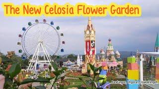 The New Celosia Flower Garden Semarang