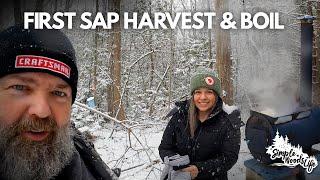 Making small batch maple syrup: first harvest & boil!