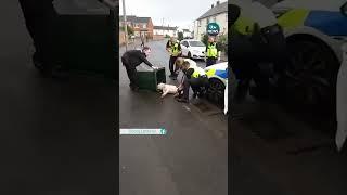 Police share bodycam footage after clip of them putting a dog in a bin was shared #coventry #dog #uk