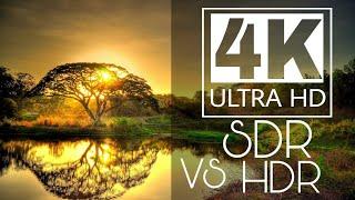 4K HDR  Vs  4K SDR Video| 4K VIDEO