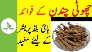 Choti Chandan K Fwaid | Choti Chandan Benefits | Blood Pressure | Urdu/Hindi | Dar ul Hikmat Urdu