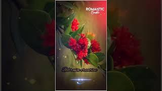 Romantic watsapp status \Dhruva creation\#lovestatus #redminote9promax