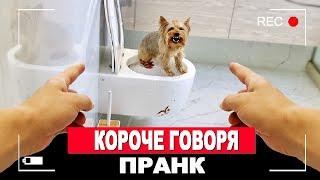 КОРОЧЕ ГОВОРЯ, пранк над ЗЛЫМ ПСОМ !