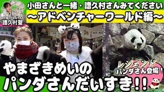 やまざきめいのパンダさんだいすき!! 小田さんと一緒・譜久村さんみてください～アドベンチャーワールド編～