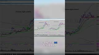 Connection Between $TSLA & #BTC $ARKB Unveiled #trading #armrinvestingway #investmenttypes