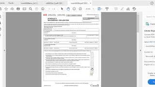 Opening PDF Immigration Forms