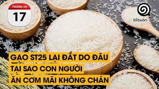 Gạo ST25 lại đắt do đâu. Tại sao con người ăn cơm mãi không chán | TỔ BUÔN 247 (17/04/2024)