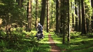 Lame Speeder Bike Test