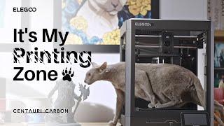 It's My Printing Zone | Centauri Carbon