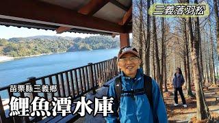 Sanyi Bald cypress, Neishechuan bridge, Liyutan reservoir