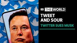 What happens next in the Elon Musk-Twitter saga? | The World