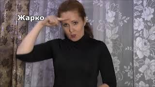 Уроки русского жестового языка
