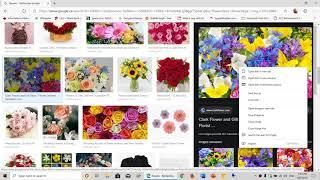 Google Picture search update and improvements and how to use it