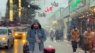 Snow of the year |  Kabul 2025 | د کال واوره | برف سال کابل