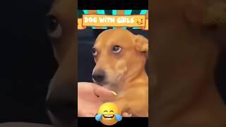 Jack Pandiii  || Dubbing Dappa #funny #dog #shorts #comedy #shortsfeed #animalvideos #doglover