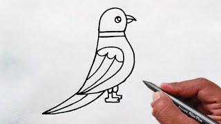 How to draw parrot step by Step | Easy parrot drawing for beginners | parrot drawing tutorial