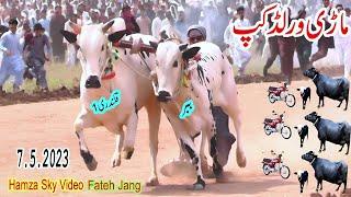 Bull Race Jalsa Maree| 7.5.2022 |بیل دوڑ ماڑی | bull race 2023