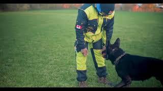 Chris and Max are back! Gemini K9 Obedience Inc