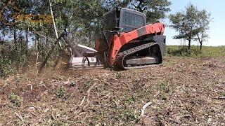 Disc Mulcher Destroys Trees and Brush Fast, Runs on 20-30 gpm Skid Steers