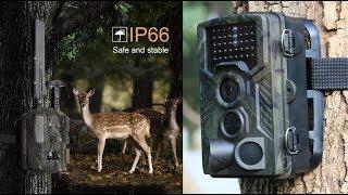 7 Фотоловушка с Алиэкспресс AliExpress Gadgets Hunting camera Крутые Гаджеты для охоты из Китая